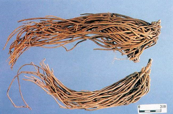 1460963263102863.png blob.png