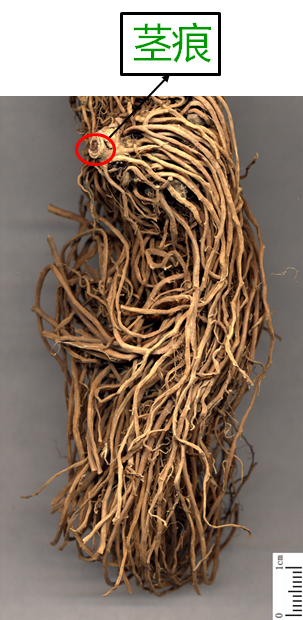 1460963279740404.png blob.png