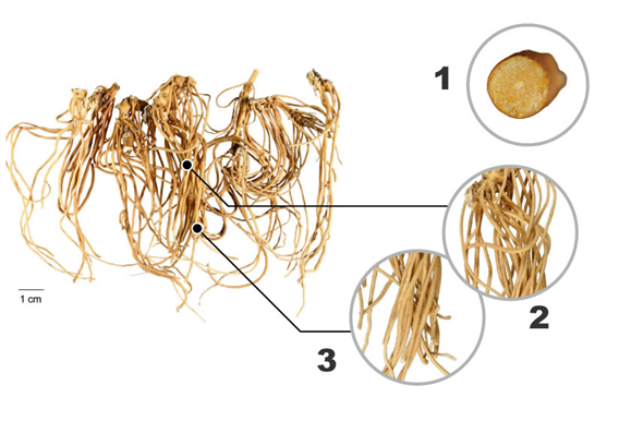 1460963292886885.png blob.png