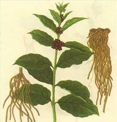 1460963304928539.png blob.png