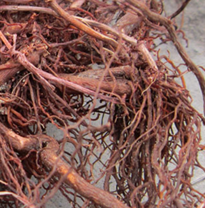 1461035263947516.png blob.png