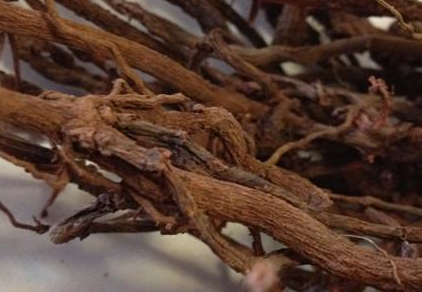 1461035276908529.png blob.png