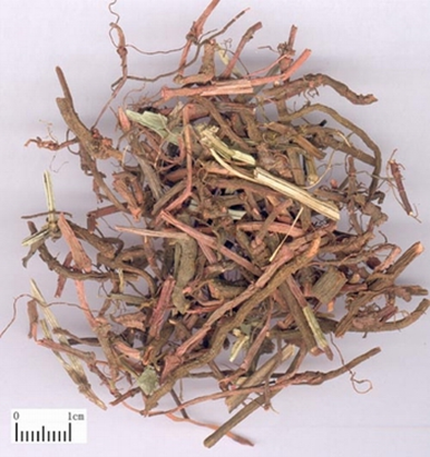 1461035285114120.png blob.png