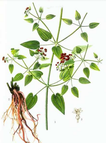 1461035331100823.png blob.png