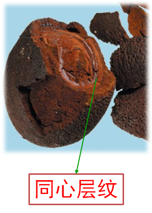 blob.png