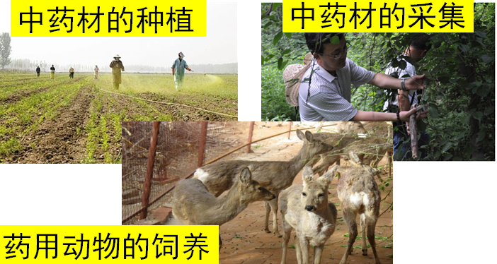 图片18.png